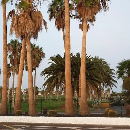 El Medano, La Tejita * El Medano (Tenerife)